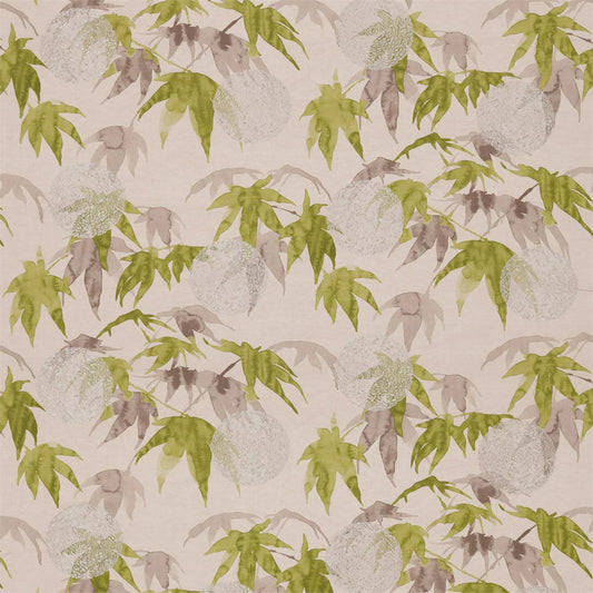 Acer Fabric