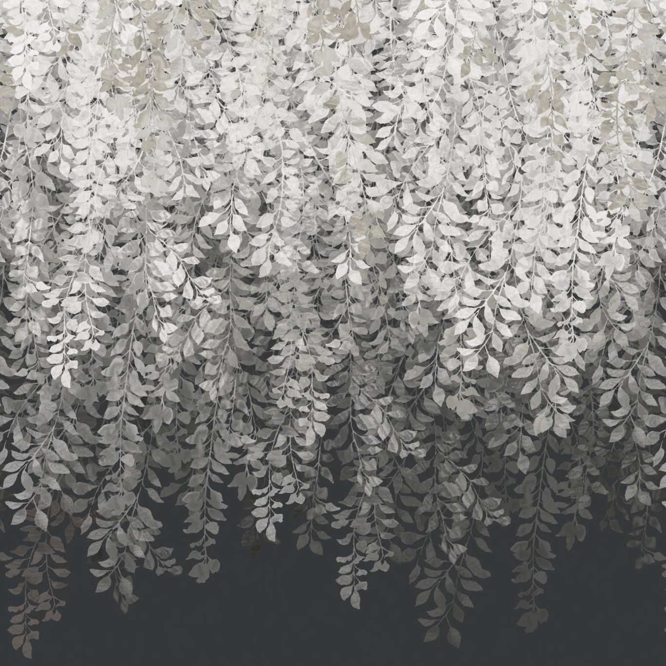 Tyndall Wallpaper