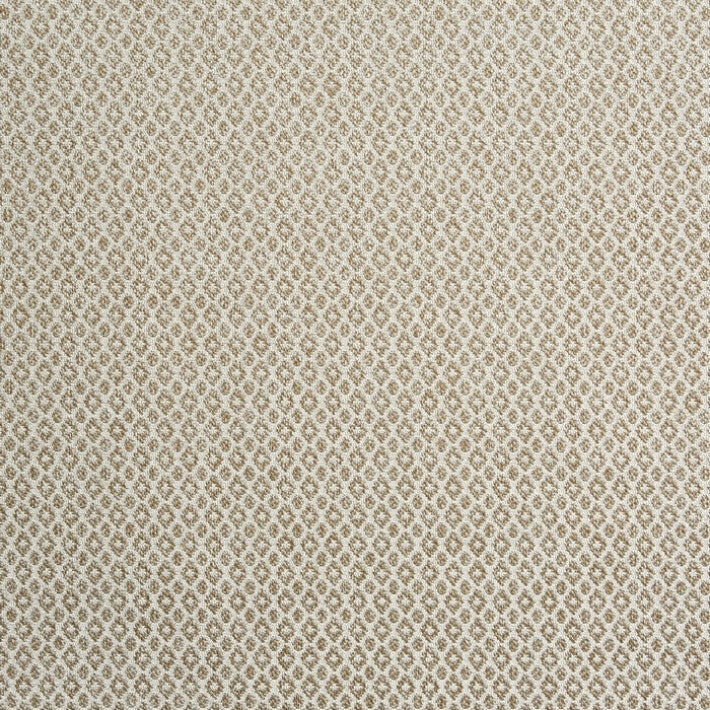 Hardwick Fabric