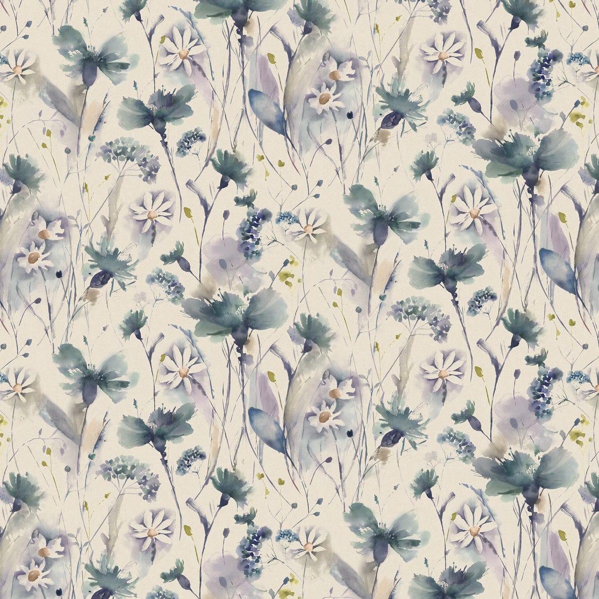 Olearia