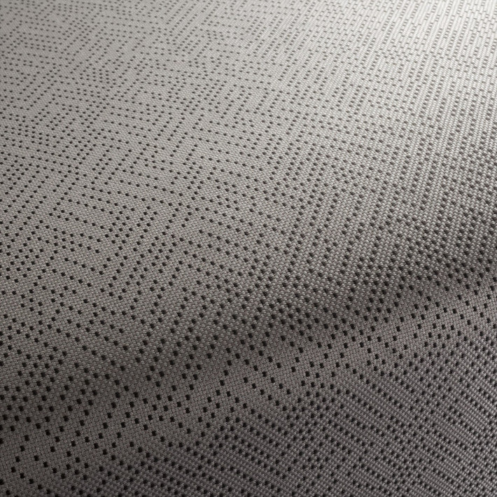 Stellata Fabric