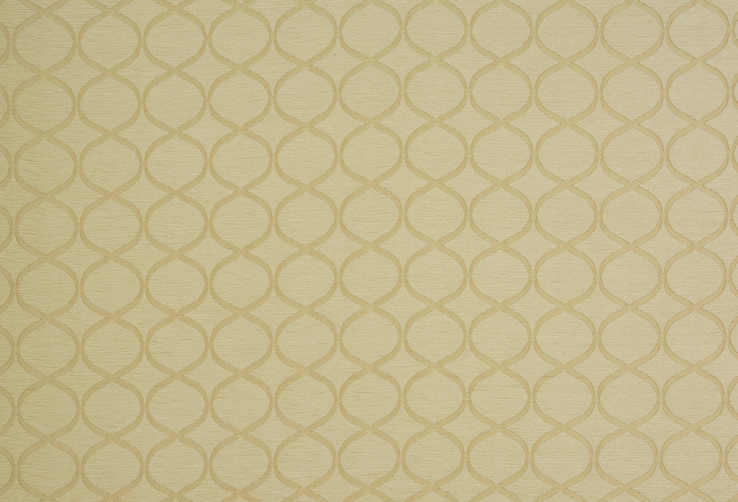 Trellis Fabric
