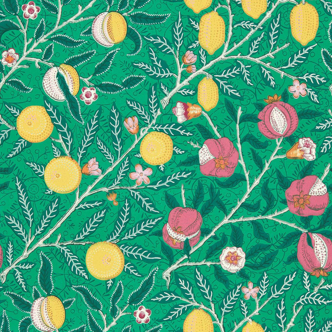 Fruit Wallpaper