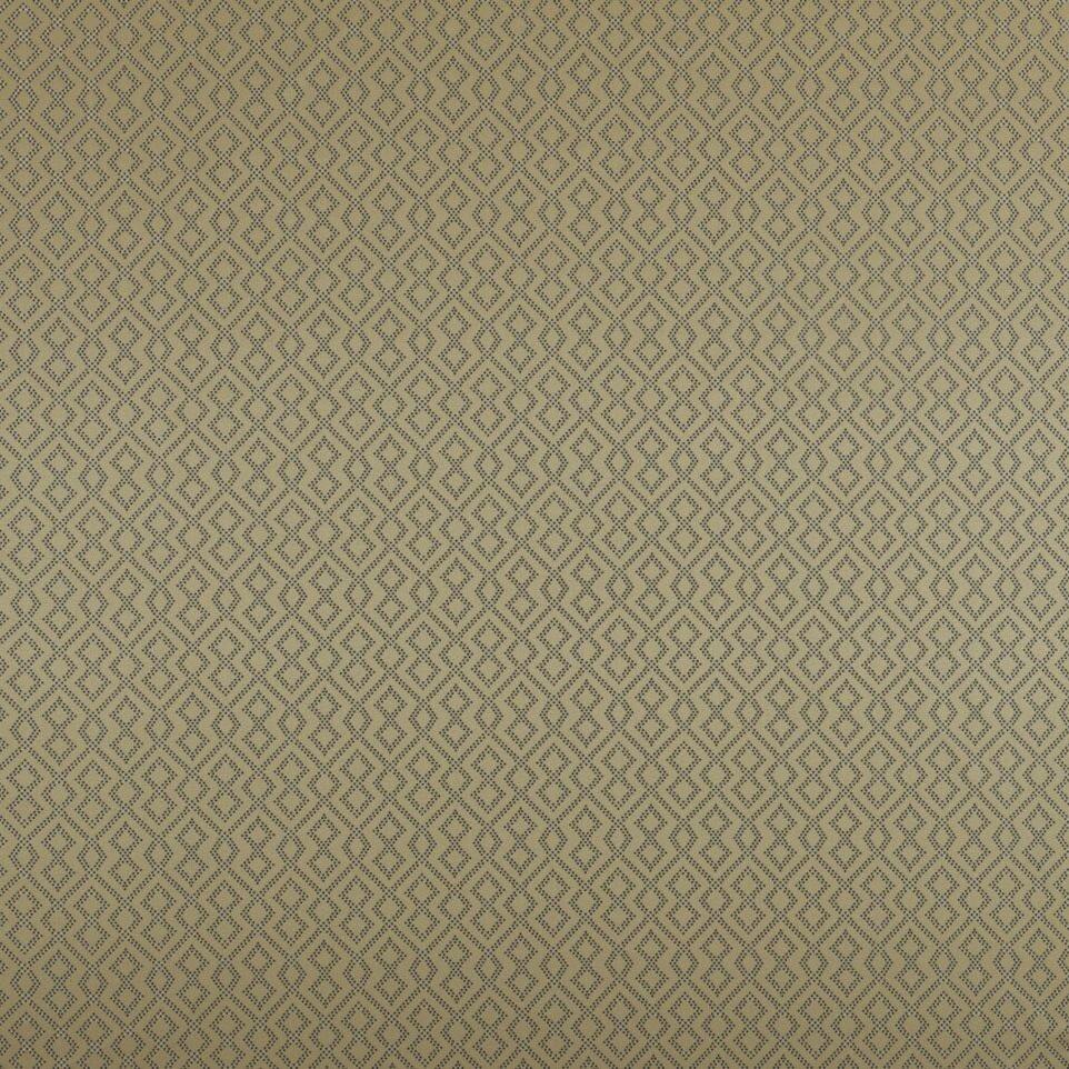 Draco Fabric