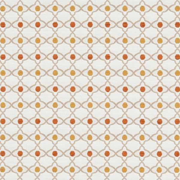 Venus Fabric