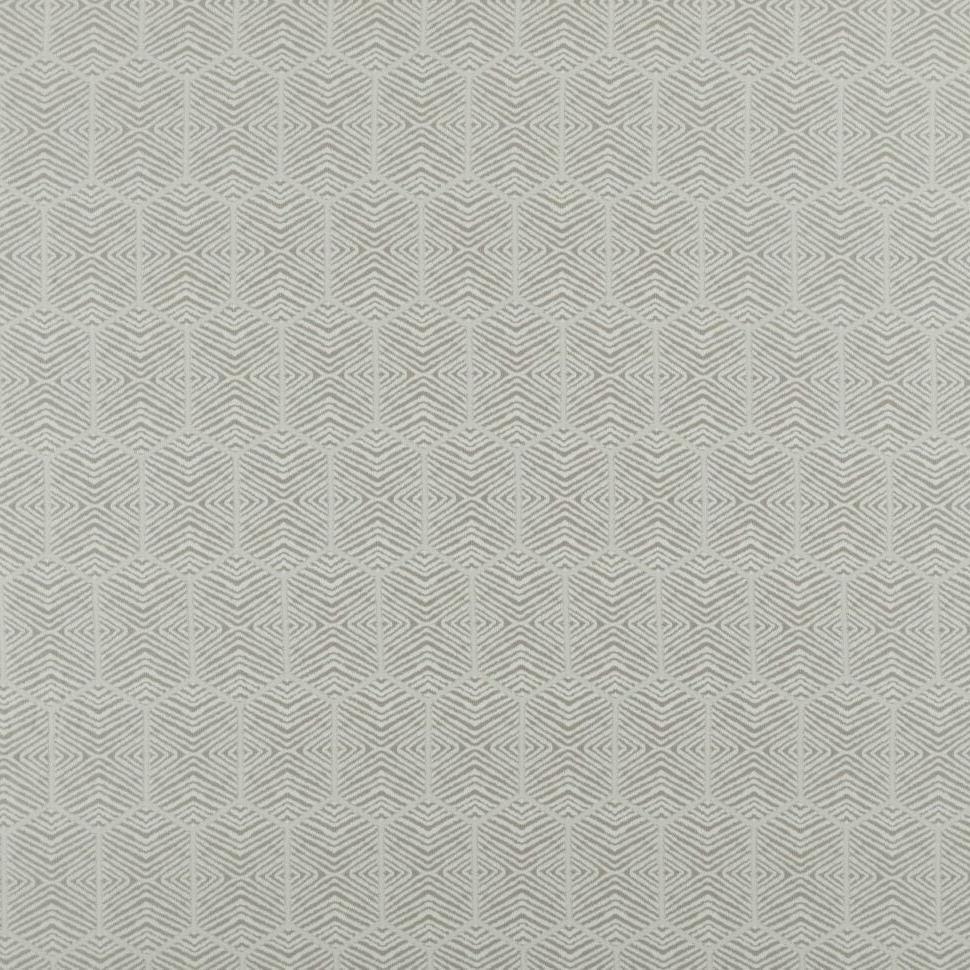 Scorpio Fabric