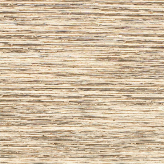 Xan Wallpaper