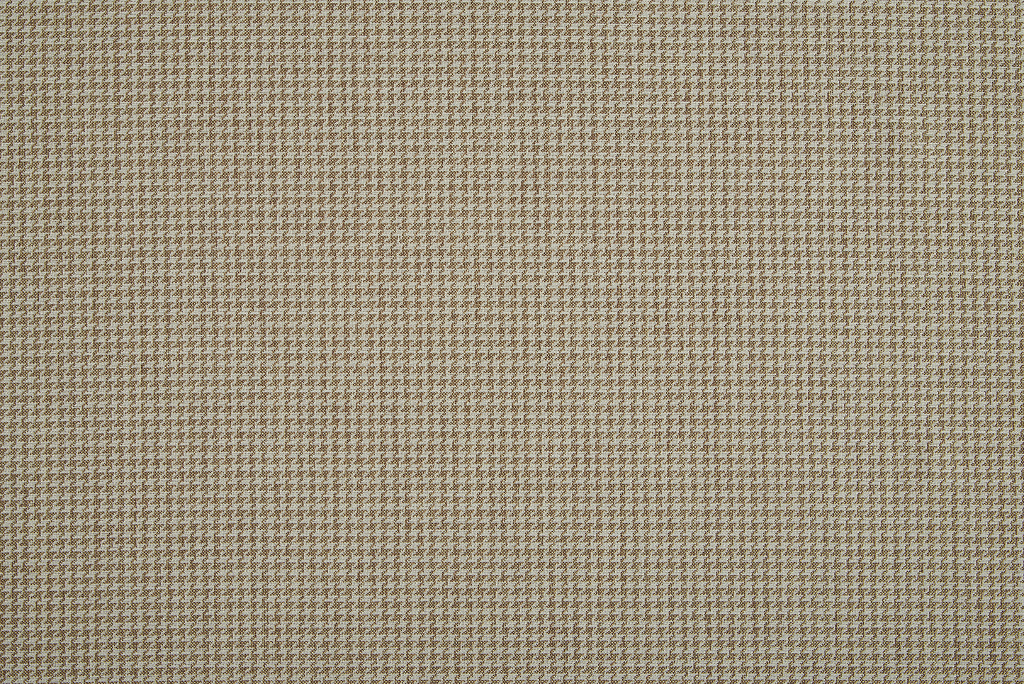 Zeus Fabric