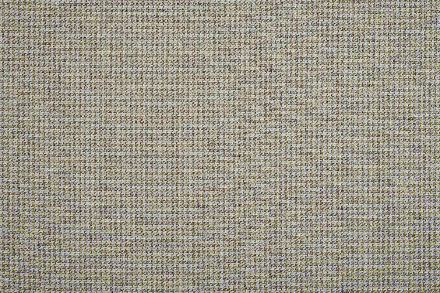 Zeus Fabric