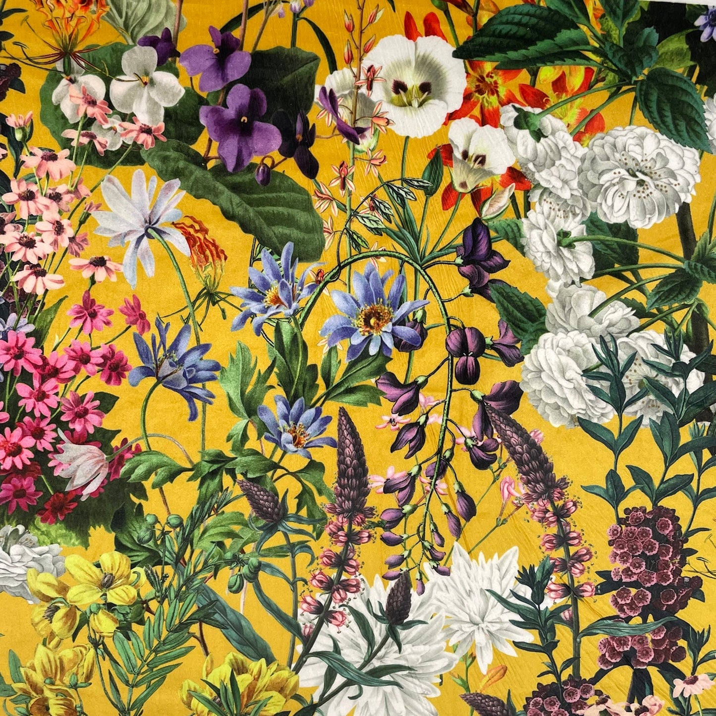 Zion Fabric