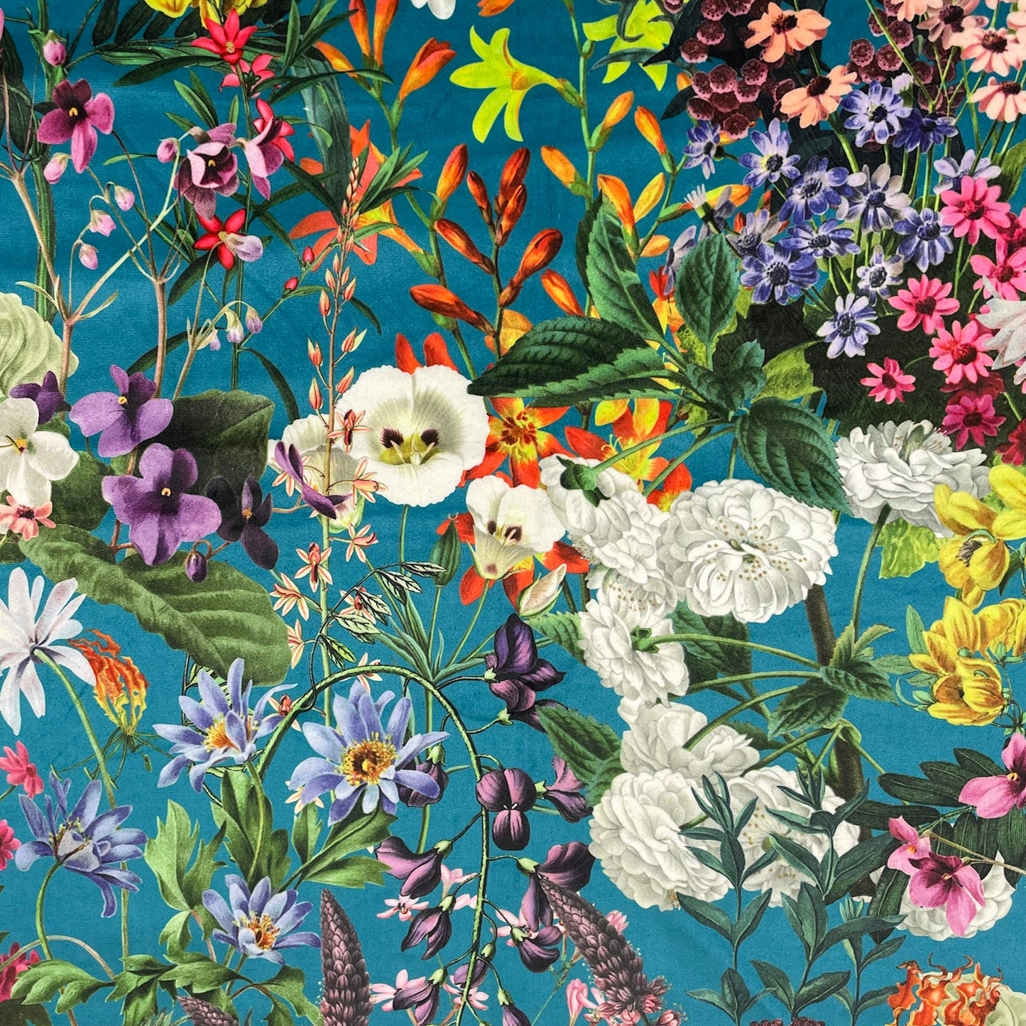 Zion Fabric