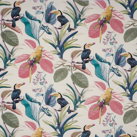 Parakeet Fabric