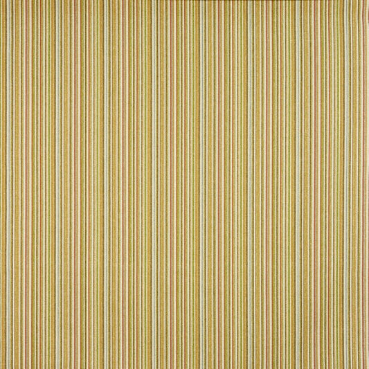 Drummond Fabric