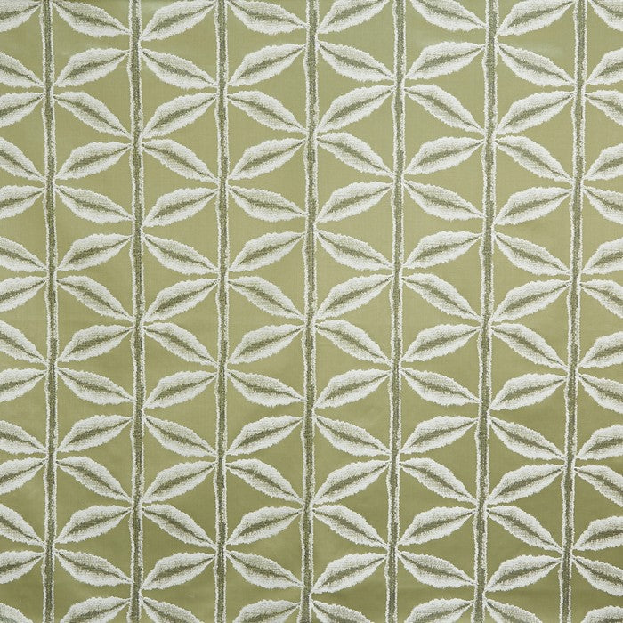 Palm Fabric