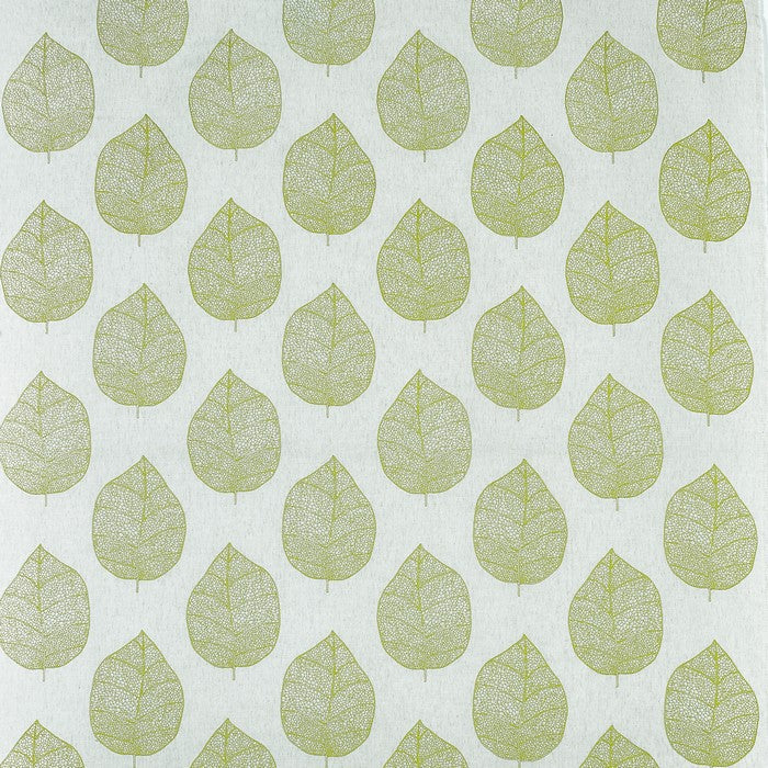 Sorano Fabric