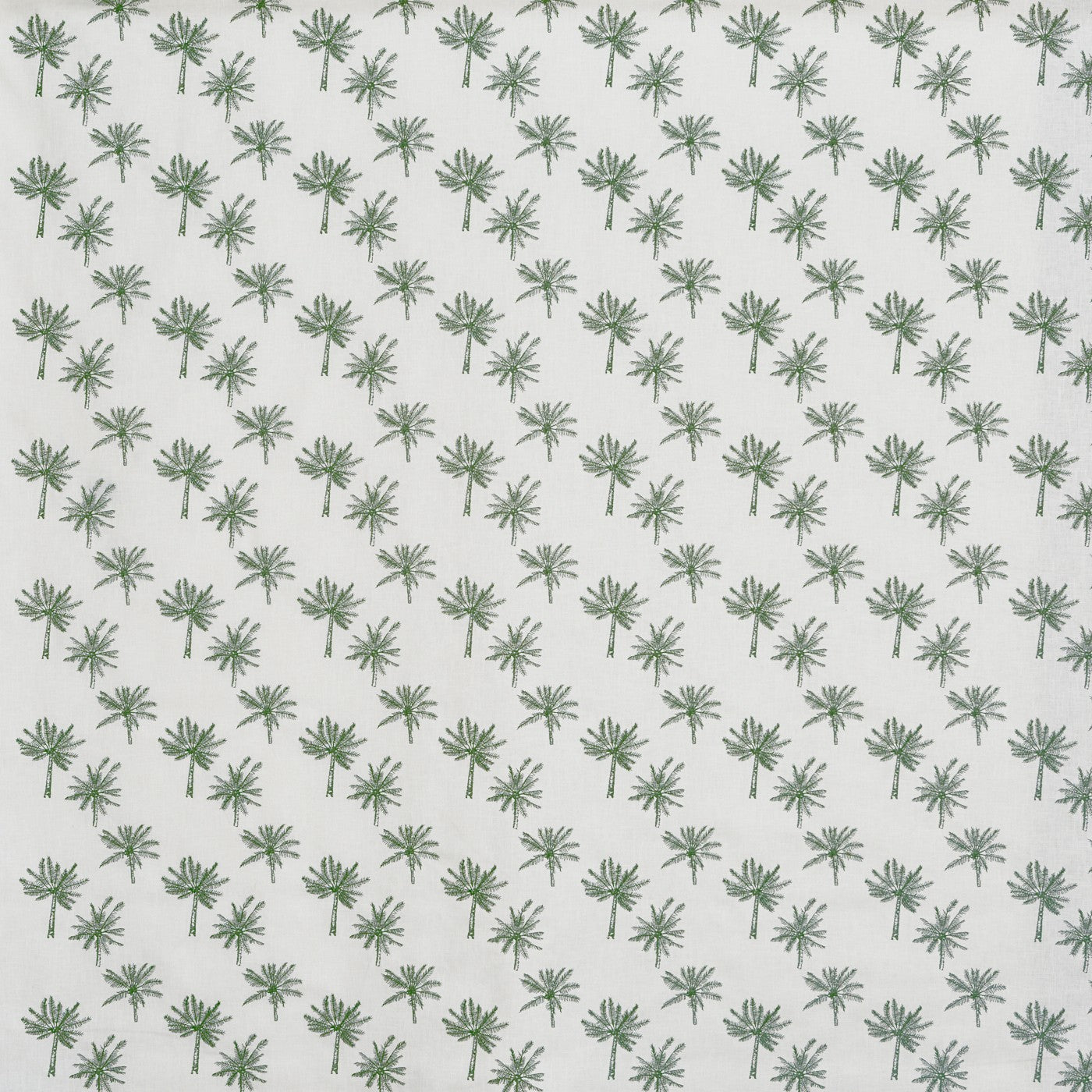 Little palm