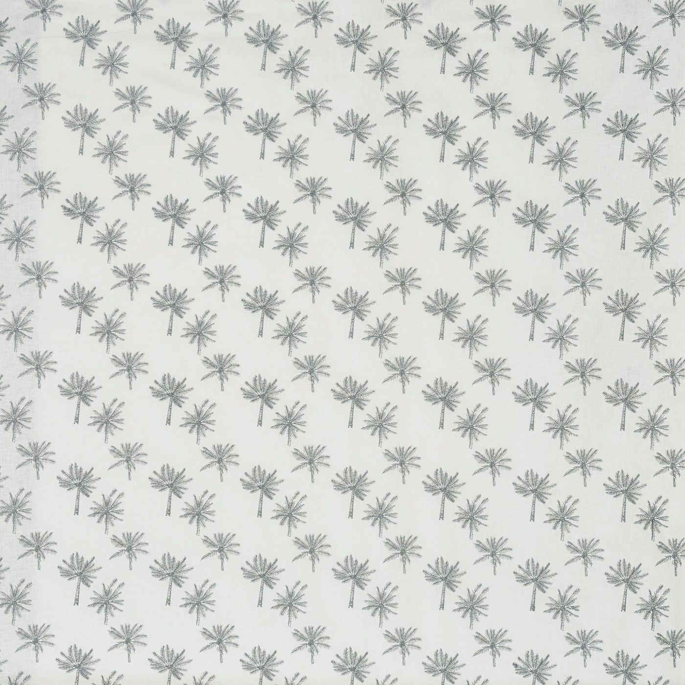 Little palm