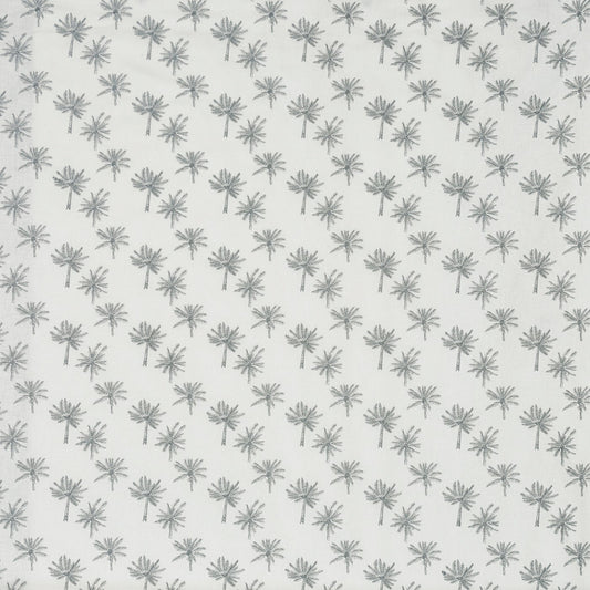 Little palm