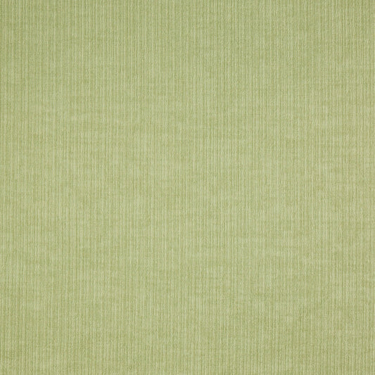 Spencer Fabric