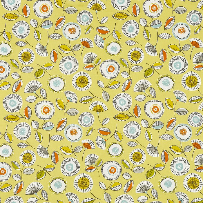 Sundance Fabric