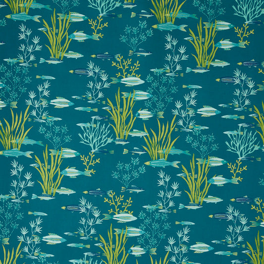 Shallows Fabric