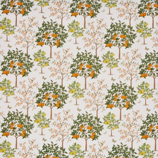 Lemon grove