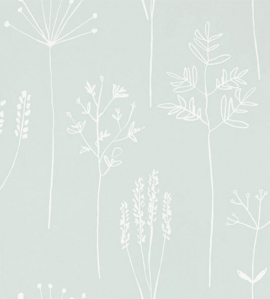 Stipa Wallpaper