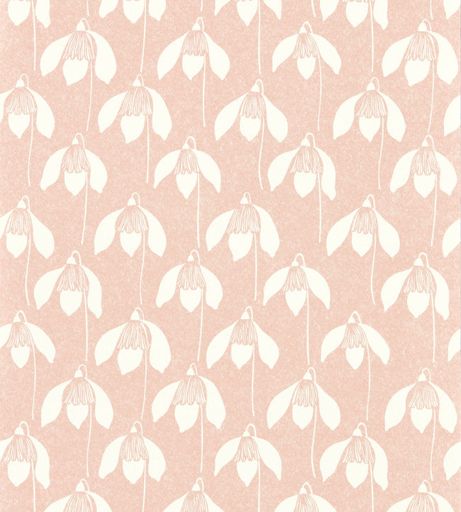 Snowdrop Wallpaper