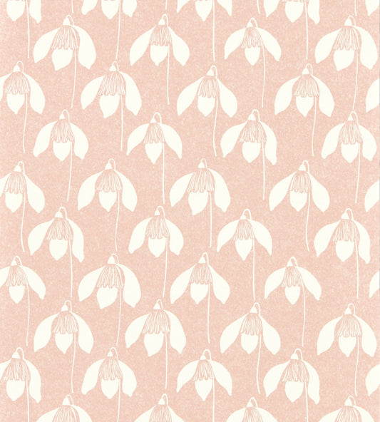 Snowdrop Wallpaper