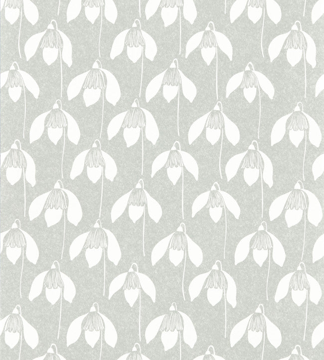 Snowdrop Wallpaper