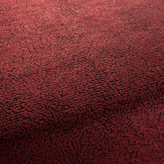 Wilson Fabric