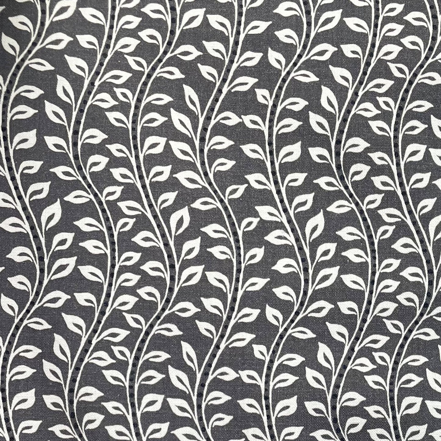 Bella Fabric