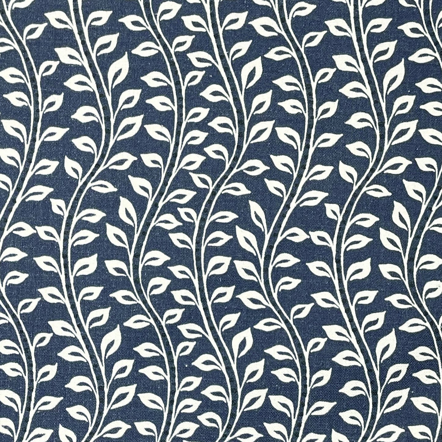 Bella Fabric
