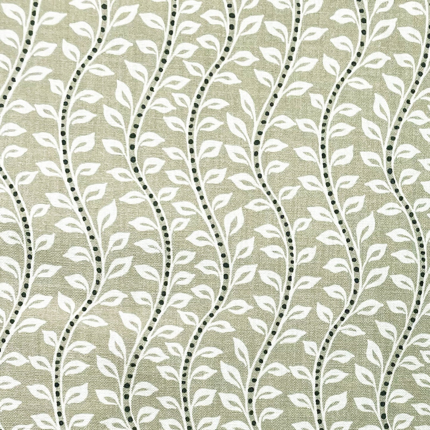 Bella Fabric