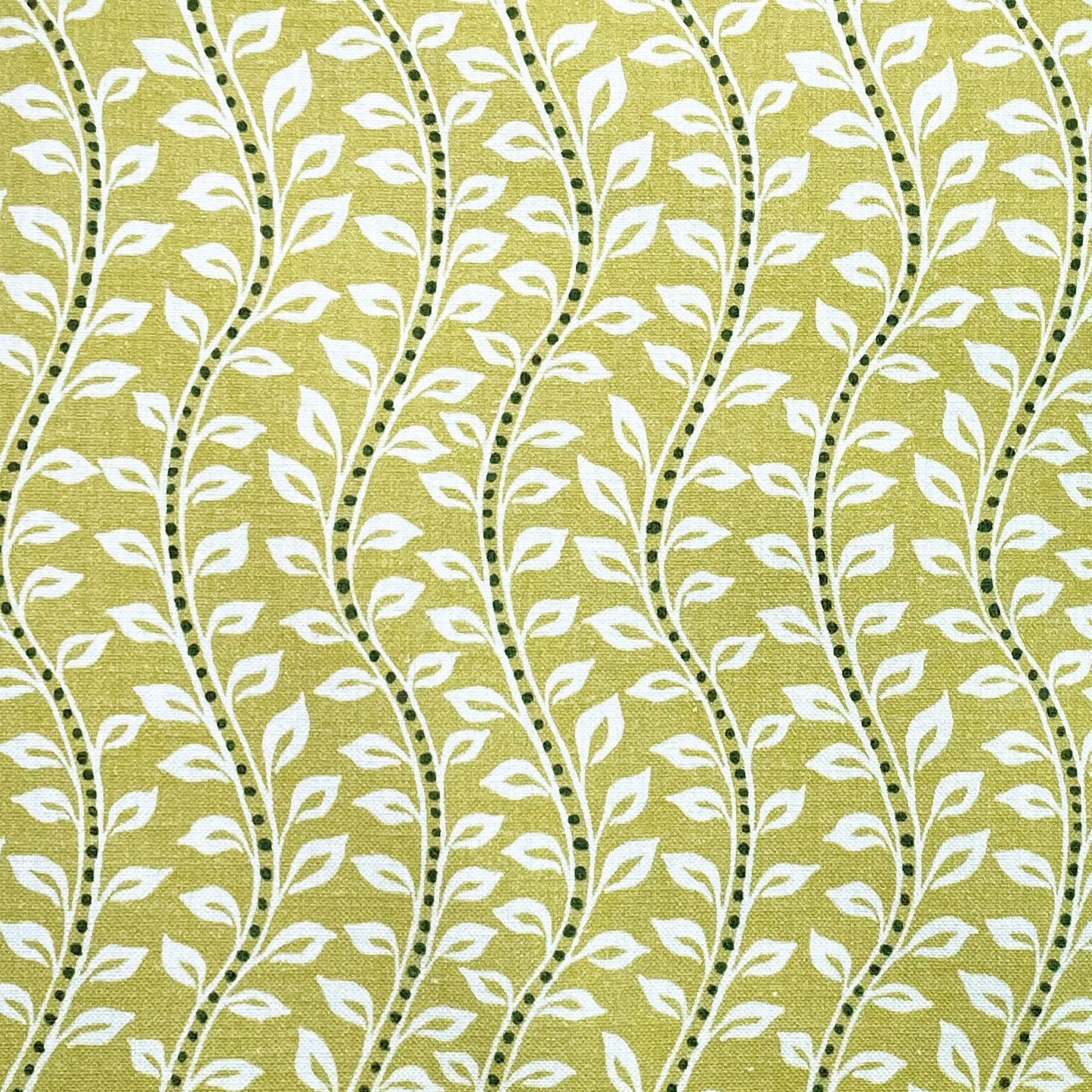 Bella Fabric
