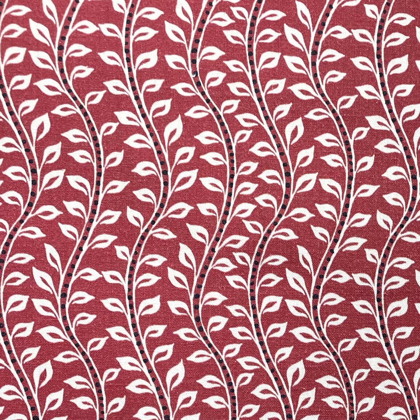 Bella Fabric