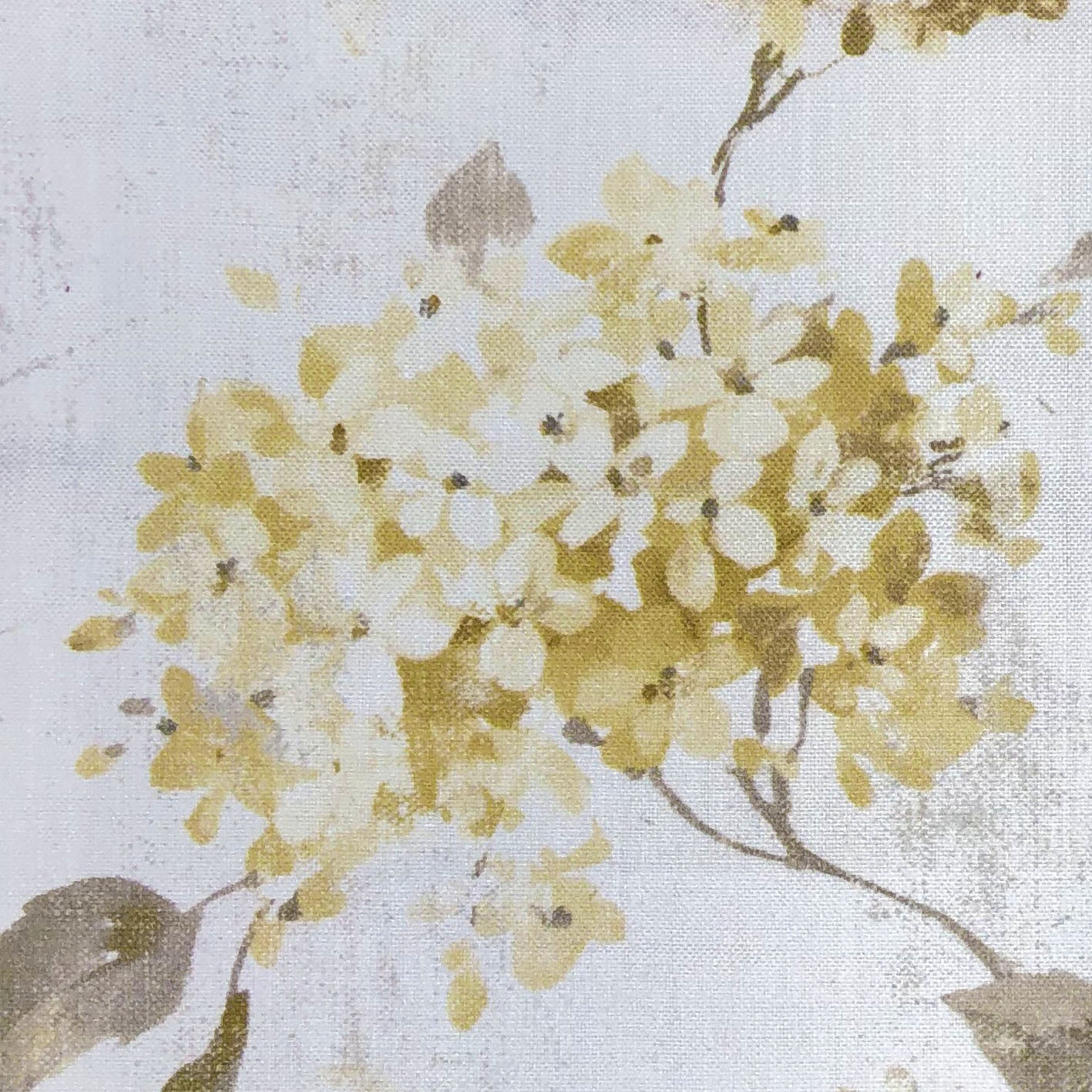 Belvoir Fabric