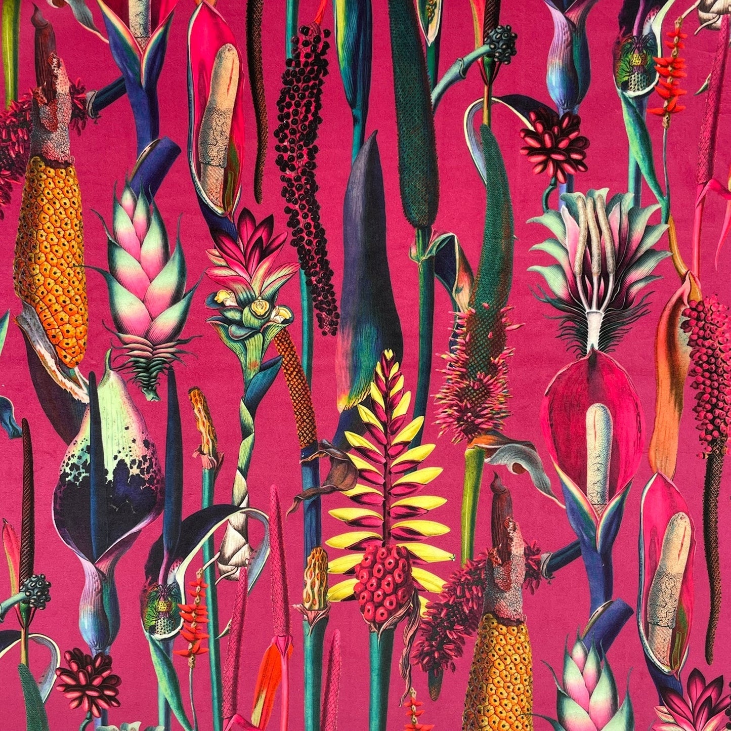 Borneo Fabric