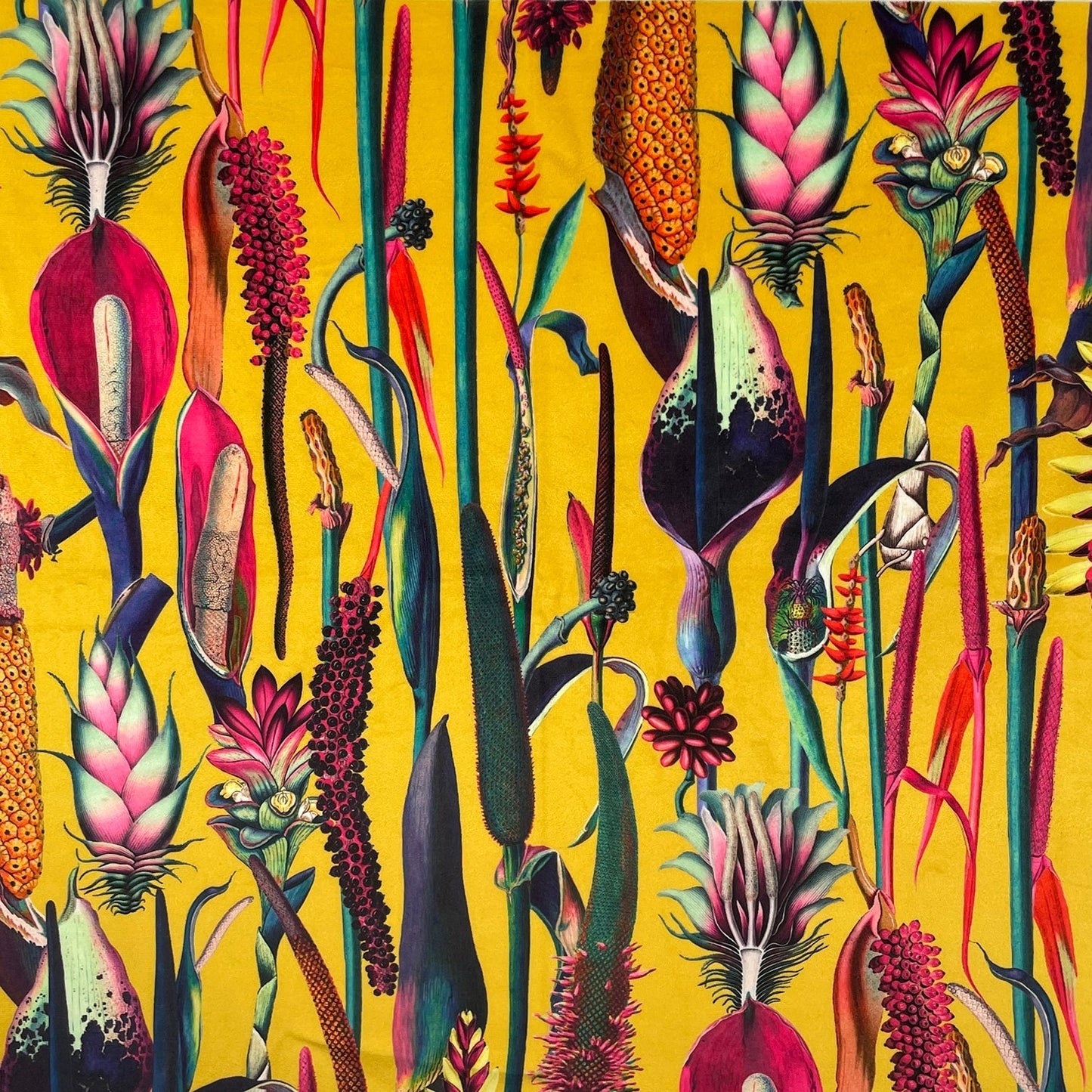 Borneo Fabric