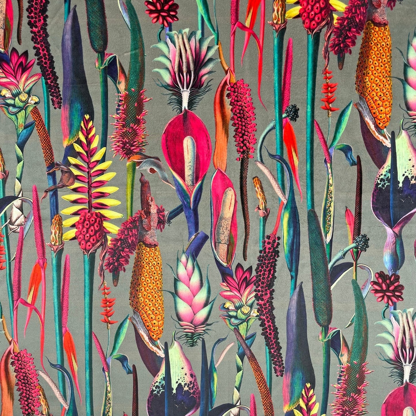Borneo Fabric