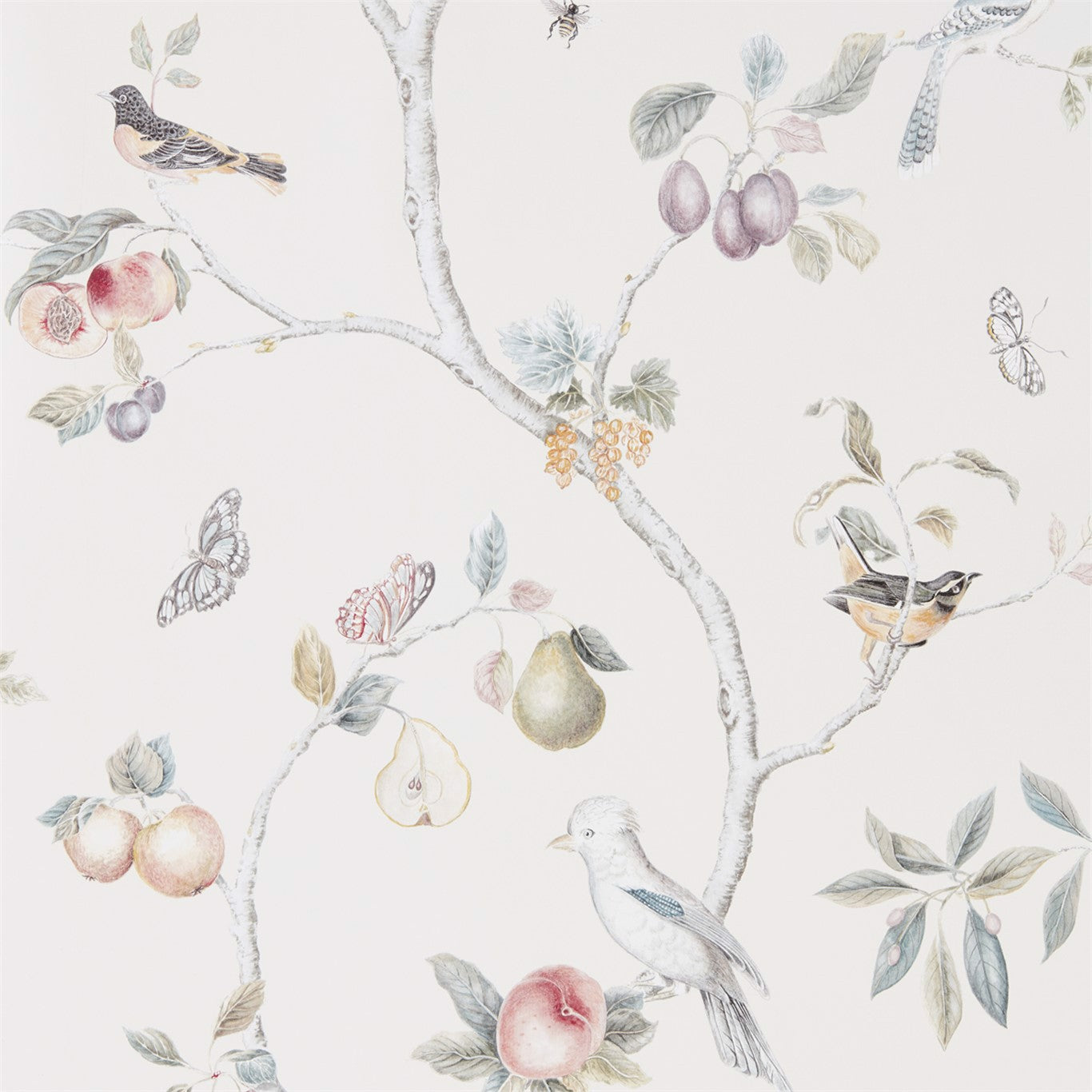 Fruit Aviary Wallpaper