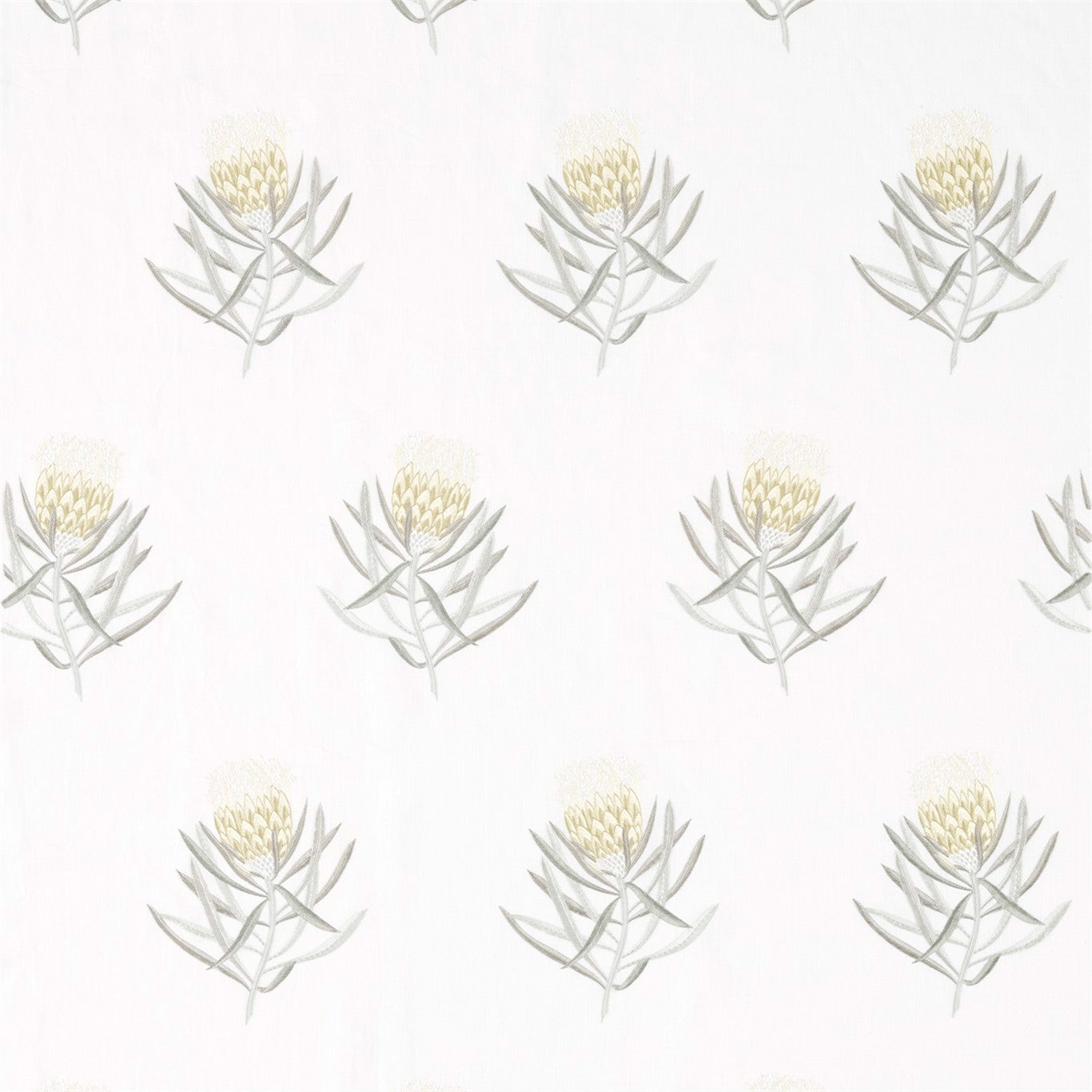 Protea Flower Fabric