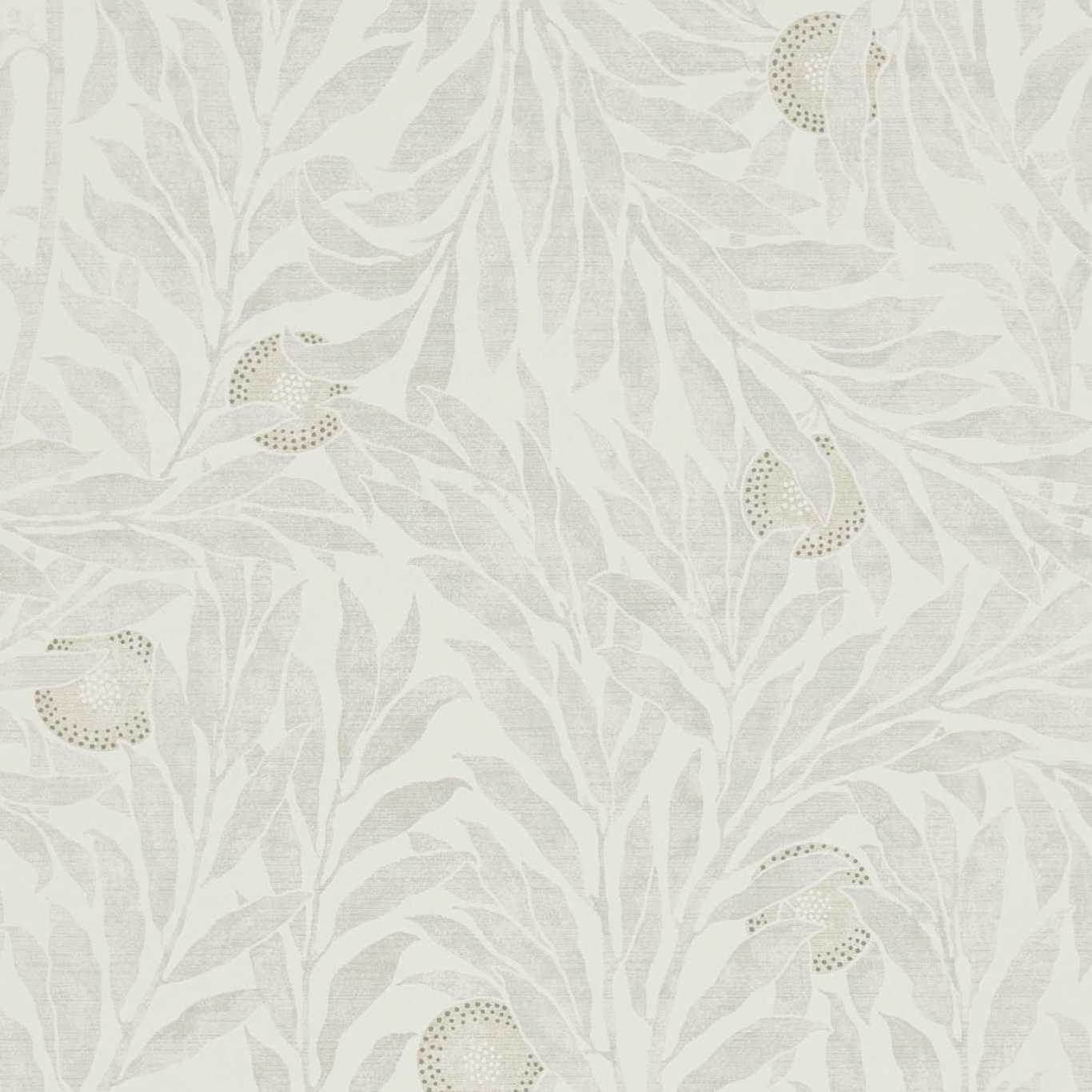 Orange Tree Wallpaper