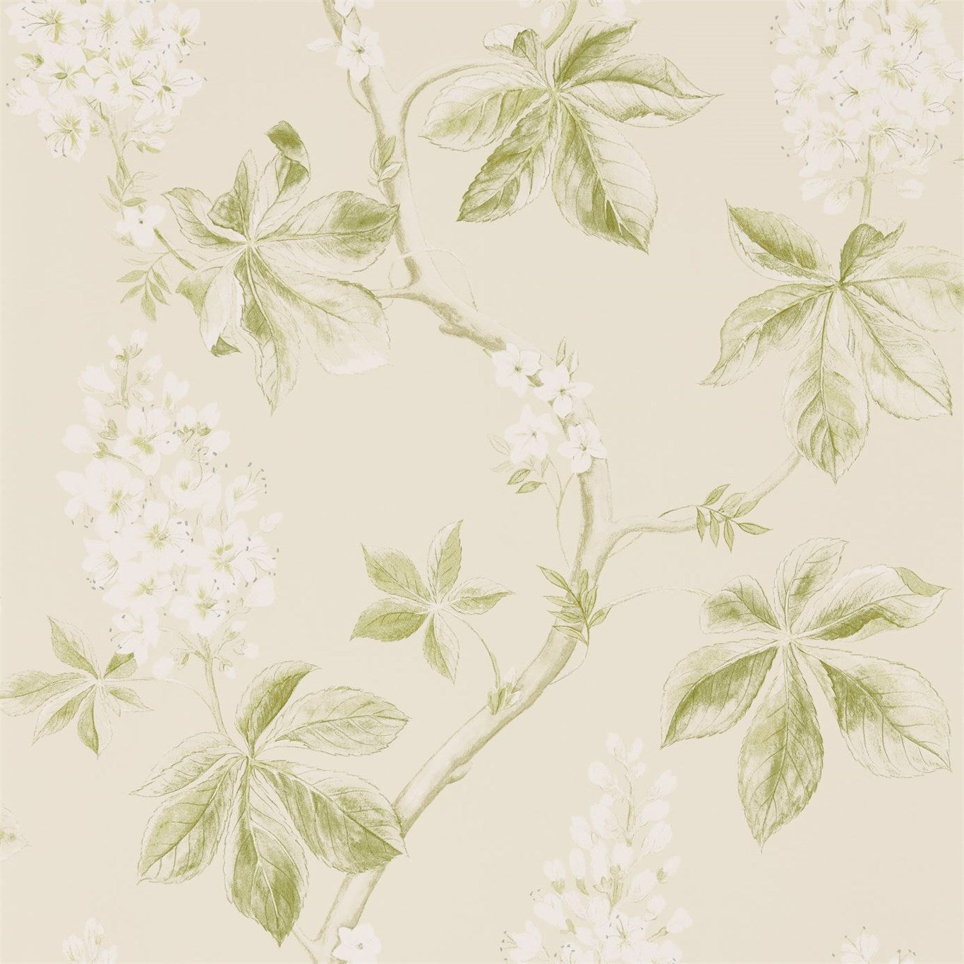 Chestnut Tree Wallpaper