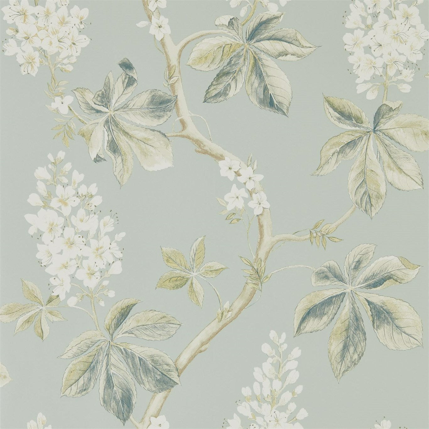 Chestnut Tree Wallpaper