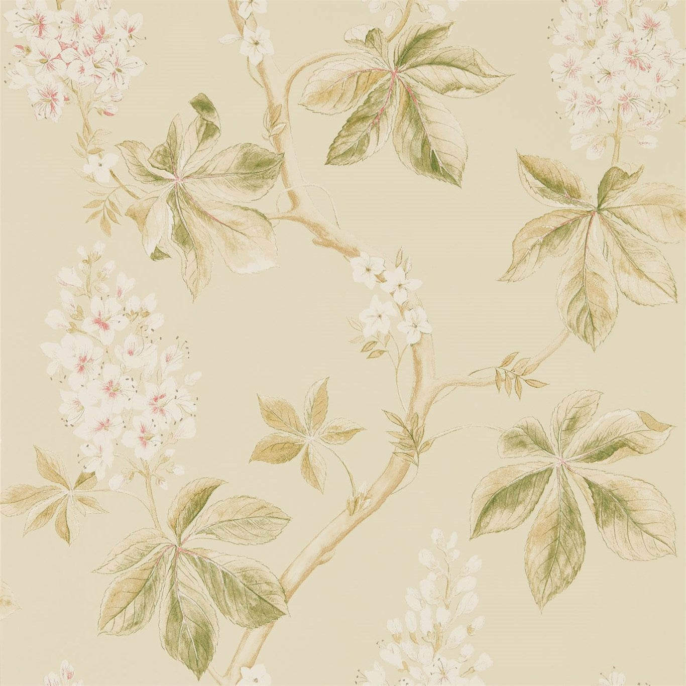 Chestnut Tree Wallpaper