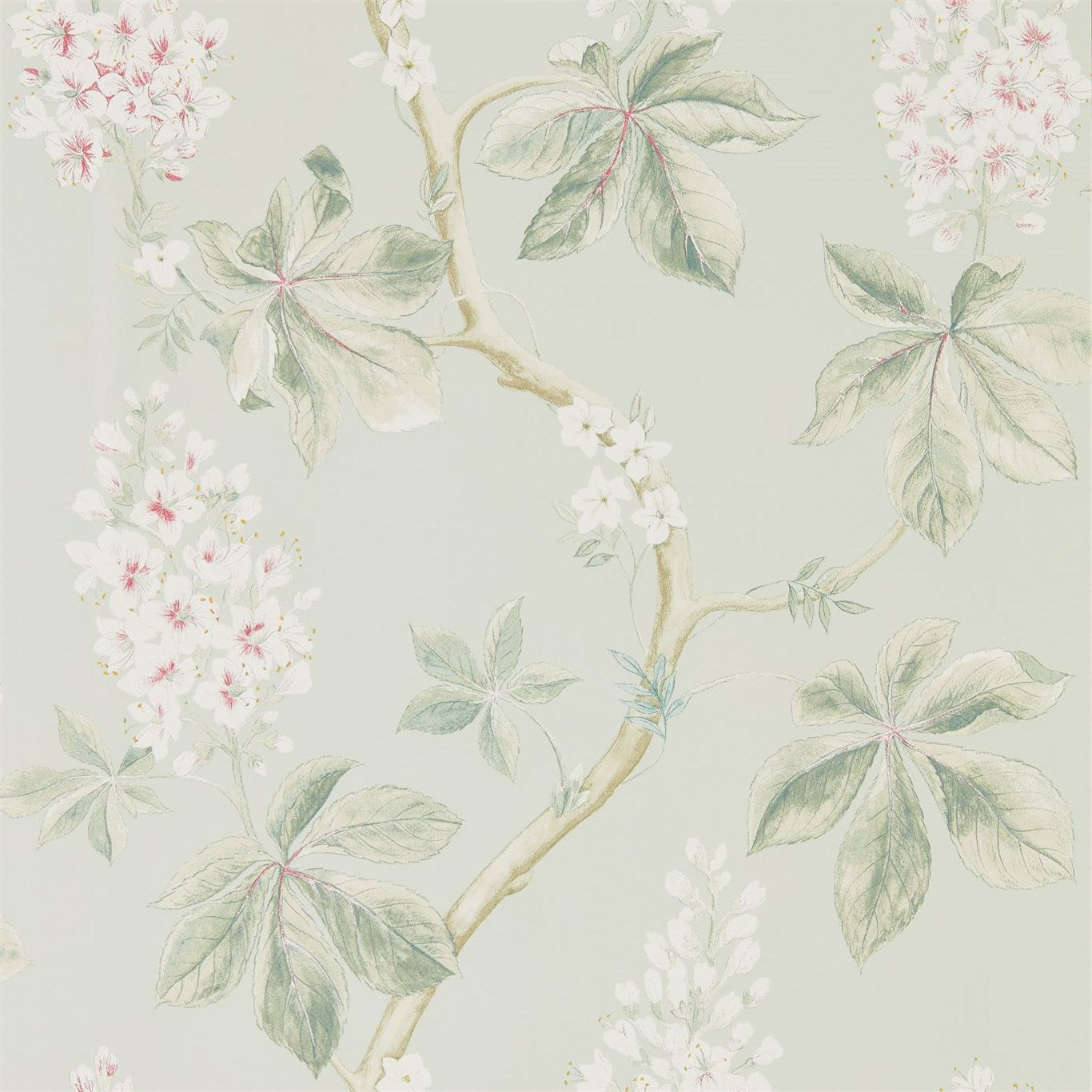 Chestnut Tree Wallpaper