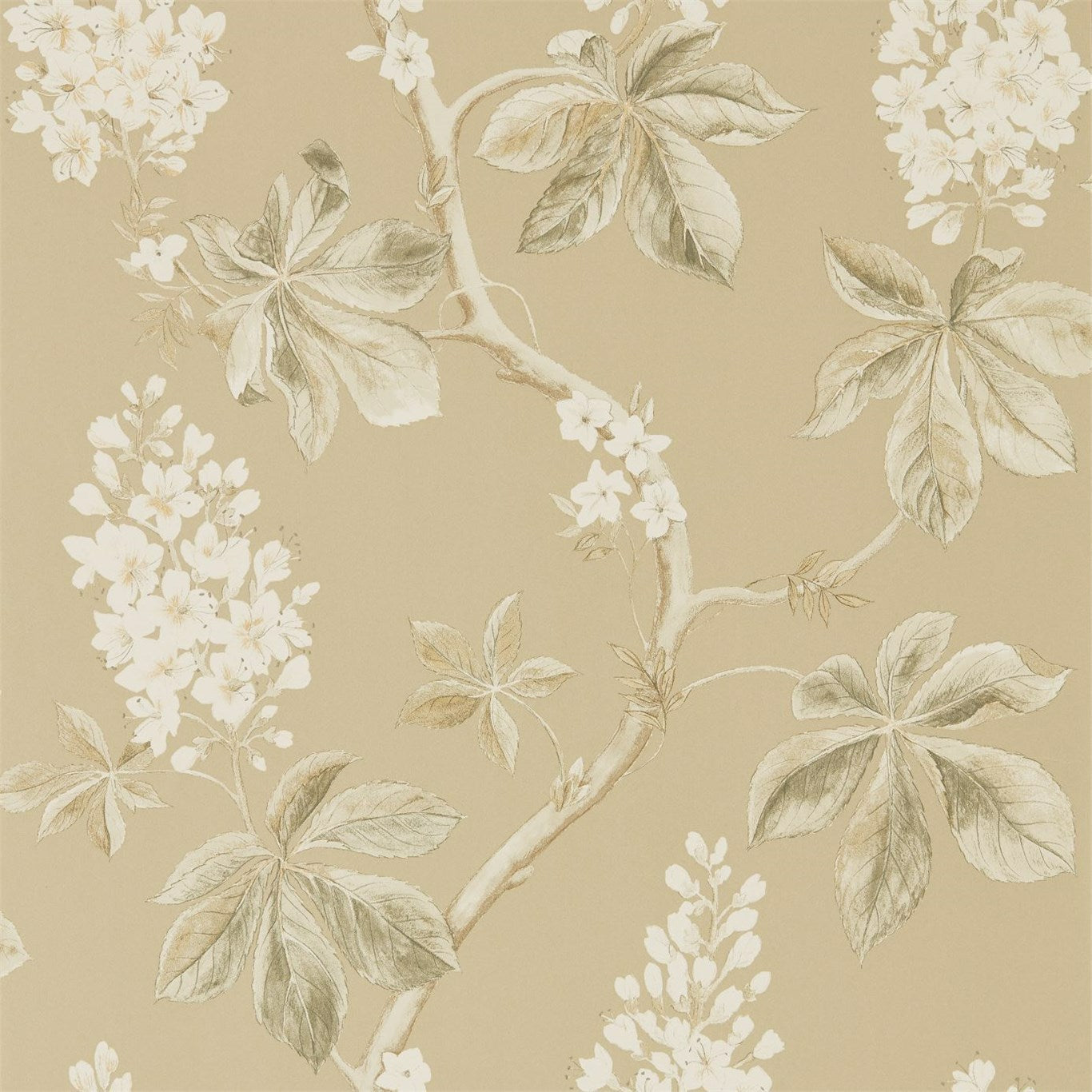 Chestnut Tree Wallpaper