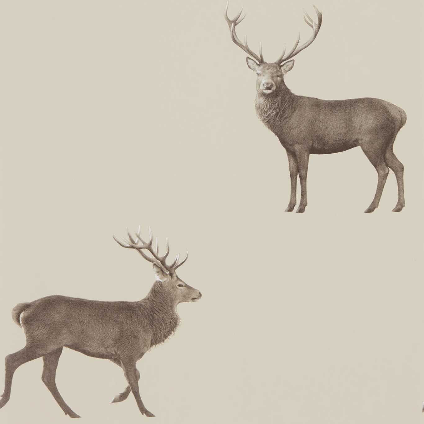 Evesham Deer Wallpaper