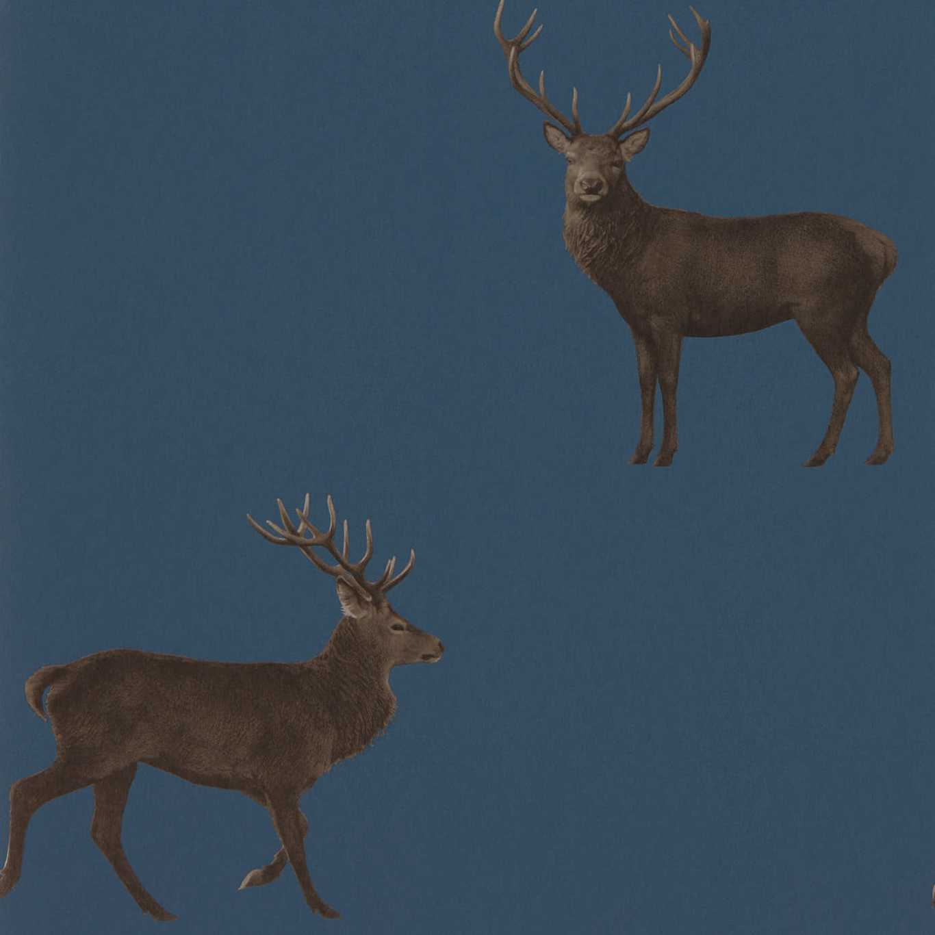 Evesham Deer Wallpaper
